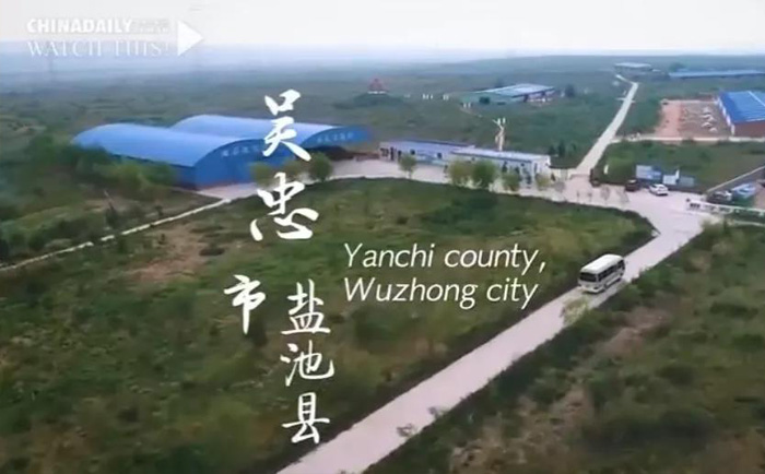 1625561291159980.jpg 2.jpg