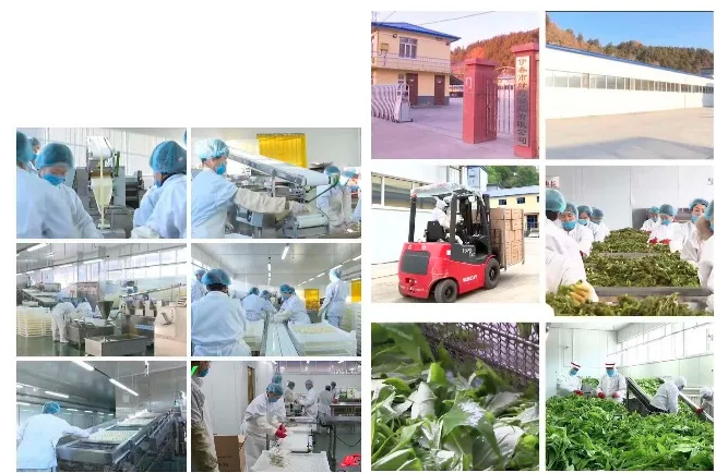 1642490609202853.jpg ly.jpg