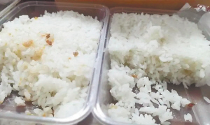 1698233784185488.jpg 11.jpg